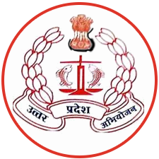 Website & Portal Development