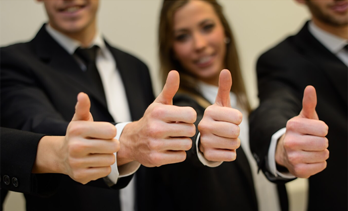 Website & Portal Development